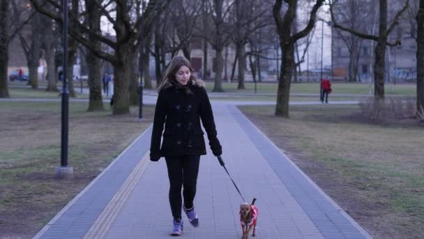 Chica adolescente y pequeño terrier jugando en un parque. Caminando hacia la cámara. 60 a 24 fps — Vídeo de stock