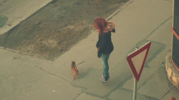 Adolescente chica con un pequeño perro — Vídeo de stock