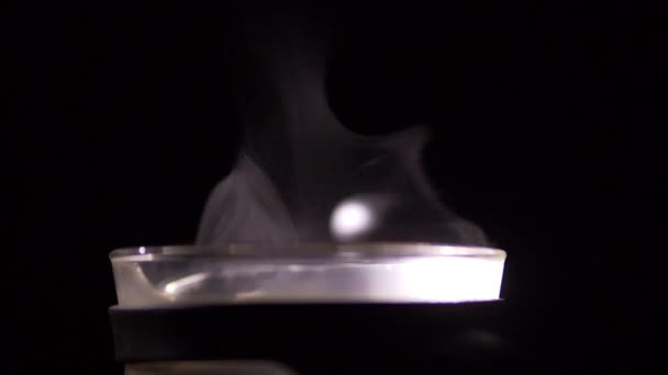 Brassage de café Slow Motion — Video