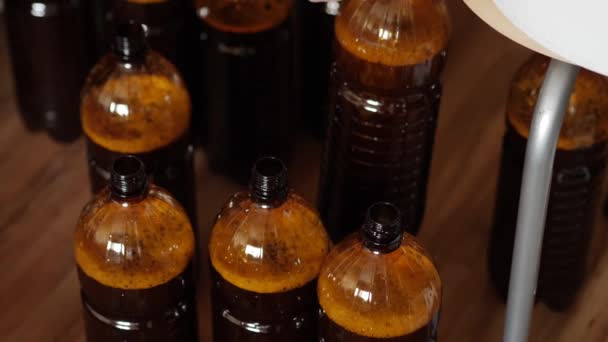 Pouring bottles with home beer. Home brewing. — Stock Video