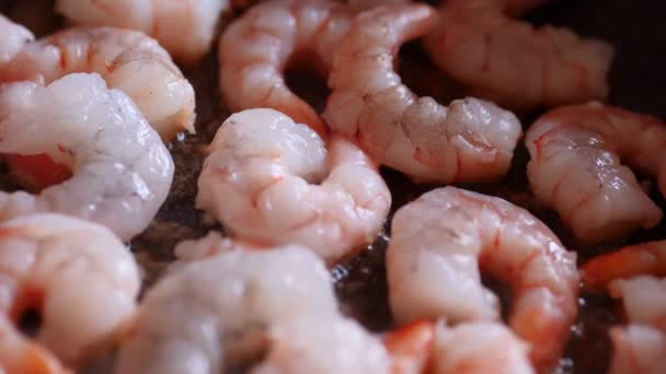 Shrimps in the pan — Stock Video