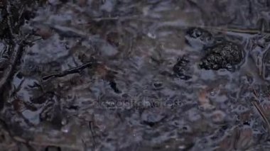 yağmur damlama bir su birikintisine - yavaş düşer.