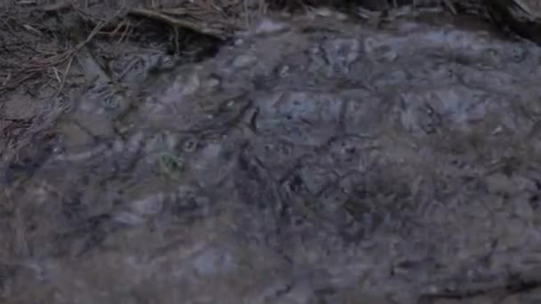 Gouttes de pluie goutte à goutte dans une flaque d'eau au ralenti 4K — Video