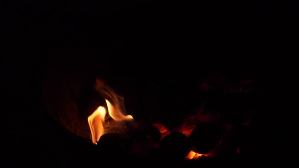 Burning coal. Coal and fire slow motion — Stock Video