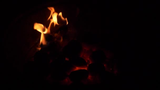Kohle verbrennen. Kohle und Feuer Zeitlupe — Stockvideo