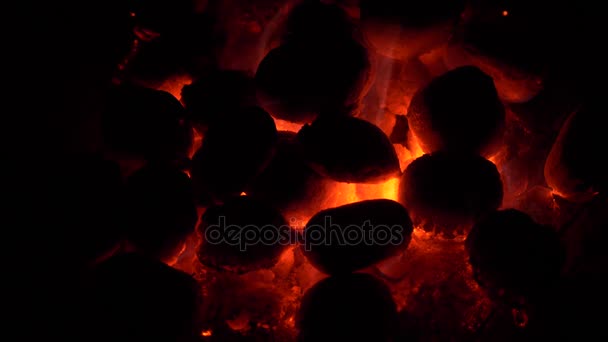 Quemando carbón. Carbón y fuego en cámara lenta — Vídeos de Stock