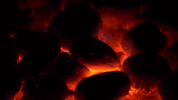 Burning coal. Coal and fire slow motion — Stock Video