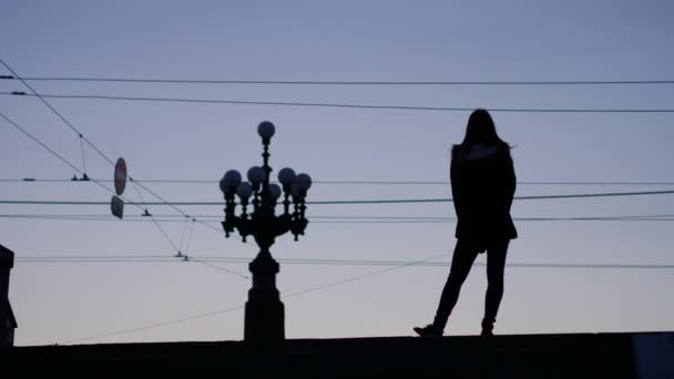 Silhouette eines Teenie-Mädchens und ihres Hündchens auf einer Abendstraße — Stockvideo