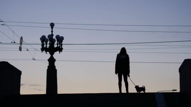 Silhouette di una ragazza adolescente e il suo cane in una strada serale — Video Stock