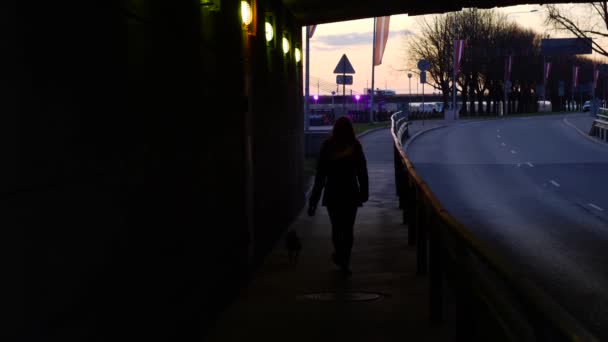 Silhouet van een tiener meisje en haar hondje op een avond straten — Stockvideo