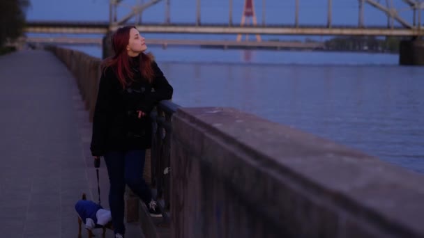 Teen girl with a little dog on a night street near river. — Stock Video