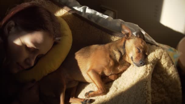 Retrato de linda chica adolescente dormida y su perrito. Soleado día de primavera 60 a 24fps En interiores hermosa luz de fondo de ensueño de la puesta del sol. Filtro de bajo contraste suave — Vídeo de stock