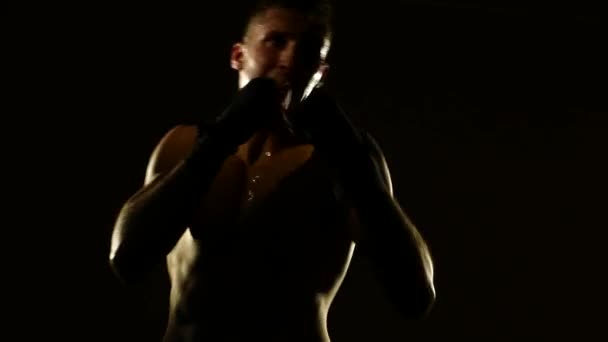 Boxer training in a gym, dramatic lighting. 4k — Stock Video