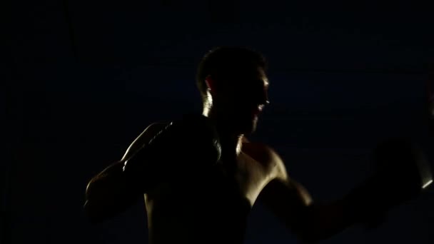 Μπόξερ κατάρτισης σε ένα γυμναστήριο, δραματικό φωτισμό. 4k — Αρχείο Βίντεο