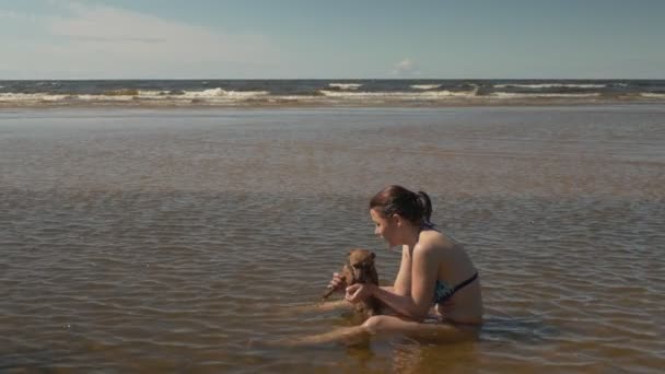 Mädchen spielt mit kleinen Hündchen am Meer — Stockvideo