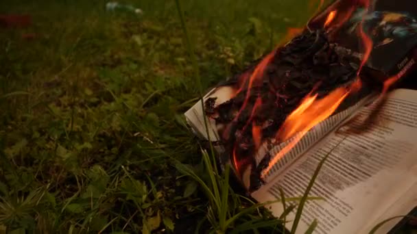 Burning books in a bonfire — Stock Video