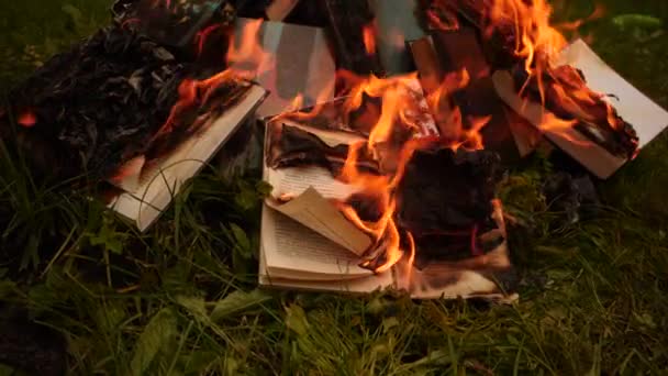 Bücherverbrennung am Lagerfeuer — Stockvideo