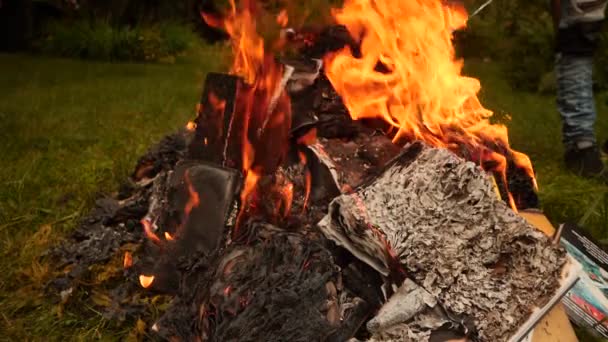 Bücherverbrennung am Lagerfeuer — Stockvideo