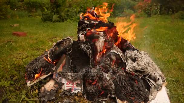 在一堆篝火燃烧的书 — 图库视频影像