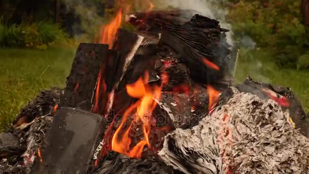 Bücherverbrennung am Lagerfeuer — Stockvideo