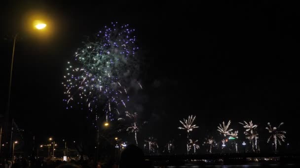 Persone di notte a guardare fuochi d'artificio celebrazione 4K — Video Stock