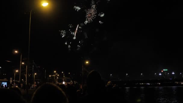 Människor på kvällen titta på firandet fireworks 4k — Stockvideo