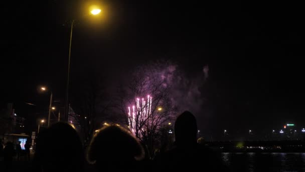 Pessoas à noite assistindo celebração fogos de artifício 4K — Vídeo de Stock