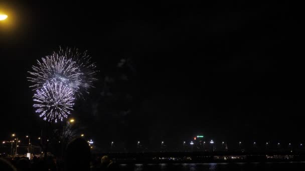 Pessoas à noite assistindo celebração fogos de artifício 4K — Vídeo de Stock