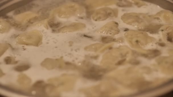在沸腾的水中煮饺子。肉饺 — 图库视频影像