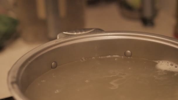 Капля пельмени в кипящей воде. 4K — стоковое видео