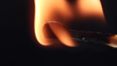 Maç inginiting makro görüntüleri