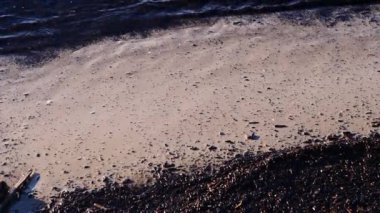 Baltık Denizi kıyısında bahar yavaş hareket