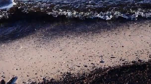 Orilla del mar Báltico en primavera cámara lenta — Vídeos de Stock