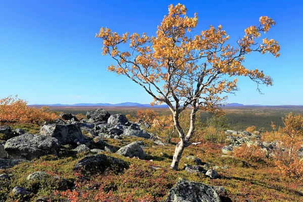 Herfst in de bergen — Stockfoto