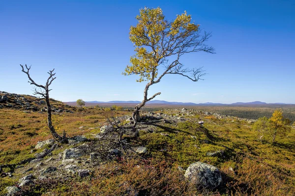 산의 가을 — 스톡 사진
