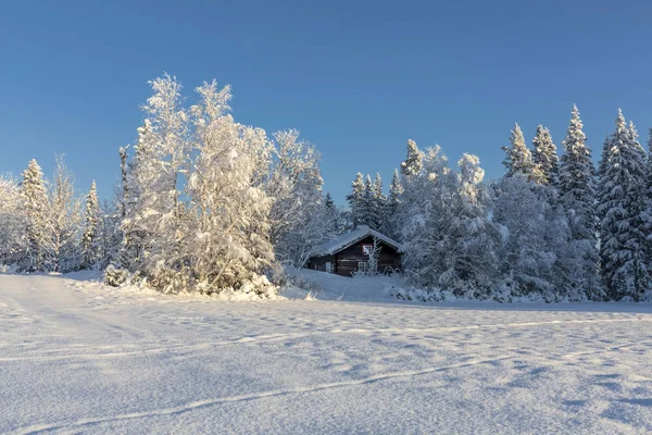 Cabina in paesaggio invernale — Foto Stock