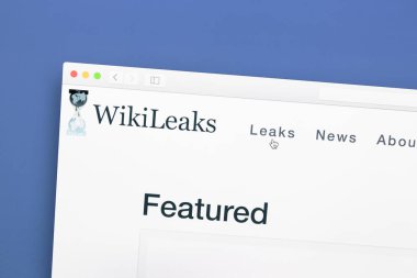 WikiLeaks Web sitesi bilgisayar ekranında
