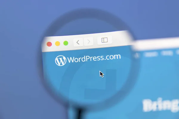 Wordpress sitio web bajo una lupa . —  Fotos de Stock