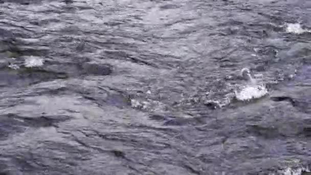 Вода Текущая Реке — стоковое видео