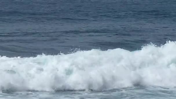 Волны Океане — стоковое видео