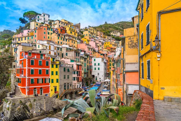 Riomaggiore, Parque Nacional Cinque Terre, Liguria, Italia — Foto de Stock