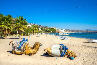 Bitez, Bodrum, Türkiye 'deki Deve Sahili