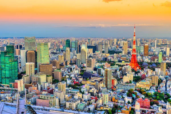 Tokyo witj Tokyo kule mavi saatte manzarası. Japonya — Stok fotoğraf