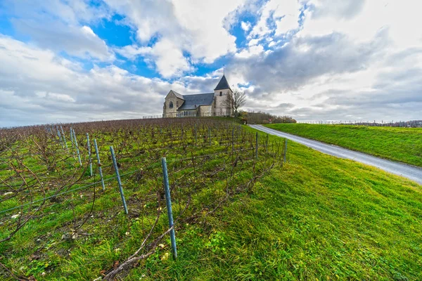 Vingårdar och Chavot Courcourt kyrka i Champagne-området, Epernay — Stockfoto