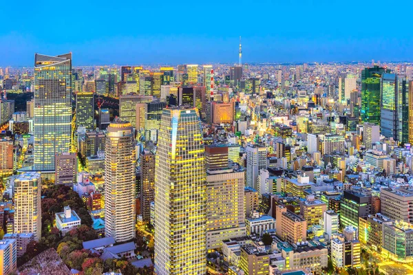 Tokyo manzarası, Japonya. — Stok fotoğraf