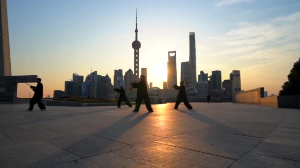 Shangai China Februari 2018 Människor Som Tränar Med Tai Chi — Stockvideo
