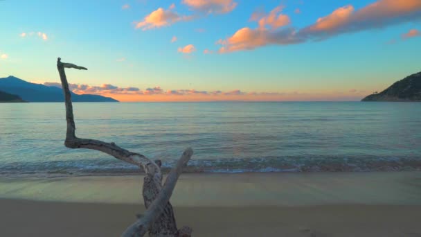 Kolorowy Zachód Słońca Pustynnej Plaży Olbrzymim Korzeniem Drzewa Spokojną Falą — Wideo stockowe