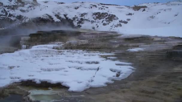 Мамонт Гарячий Спрінгс Єллоустонському Національному Парку Монтана Уса — стокове відео