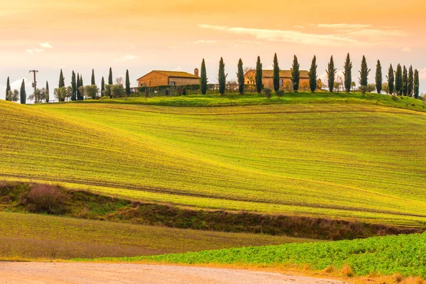 Crete Senesi, Siena, Tuscany, Italy — Stock Photo, Image