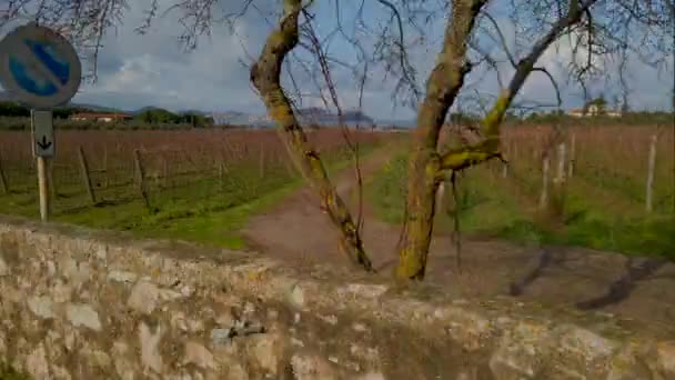 Portoferraio Nun Zaman Hızı Elba Adası Gün Doğumunda Toskana Talya — Stok video